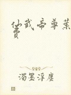 仙武帝尊叶辰免费