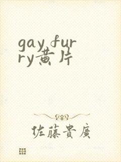gay furry黄片