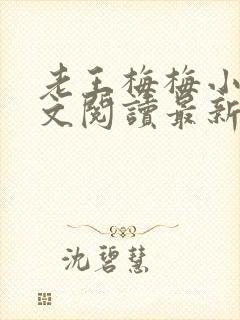 老王梅梅小说全文阅读最新章节更新