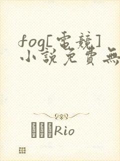 fog[电竞]小说免费无弹窗