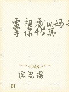 电视剧w妈妈在等你45集封面