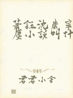 萧钰沈岁宁徐卿尘小说叫什么名字