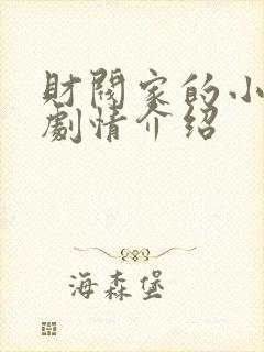 财阀家的小儿子剧情介绍