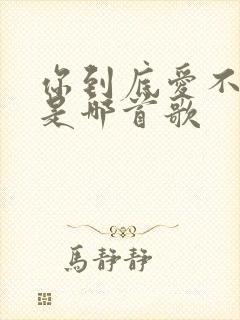 你到底爱不爱我是哪首歌