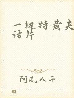 一级特黄夫妻生活片