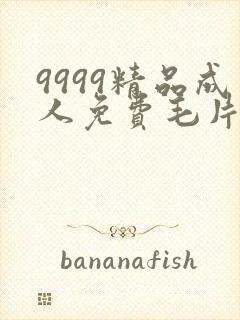 9999精品成人免费毛片在线看