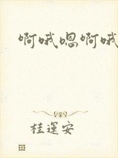 啊哦嗯啊哦嗯嗯封面