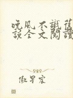 晚风不识旧时小说全文阅读