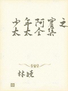 少年阿宾之房东太太全集封面