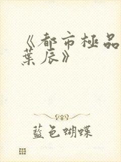 《都市极品医神叶辰》