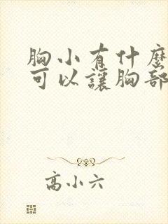 胸小有什么办法可以让胸部变大