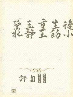 黛玉重生后嫁给北静王的小说