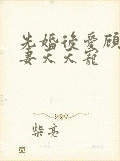 先婚后爱顾少娇妻天天宠封面