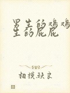 男生的鸡鸡插女生的屁屁