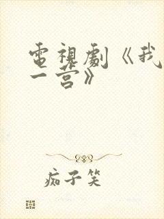 电视剧《我的特一营》