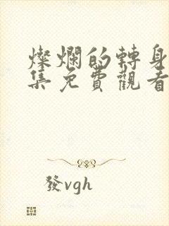 灿烂的转身40集免费观看全集