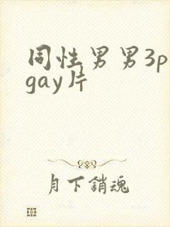 同性男男3p黄gay片
