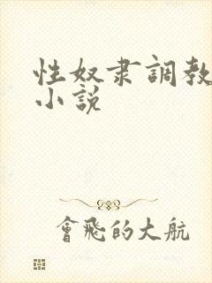 性奴隶调教束缚小说封面
