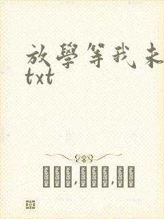 放学等我未删减txt