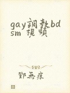 gay调教bdsm 视频封面