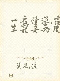 一夜情深,霍先生宠妻无度全书