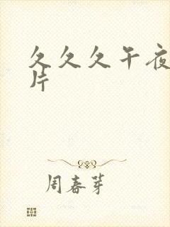 久久久午夜免毛片