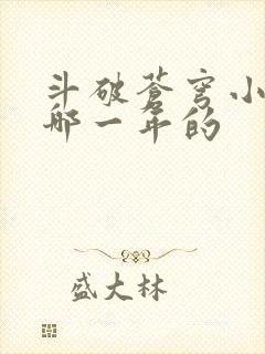 斗破苍穹小说是哪一年的封面