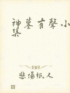 神墓有声小说全集