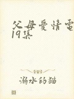 父母爱情电视剧19集封面