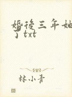 婚后三年她变心了txt