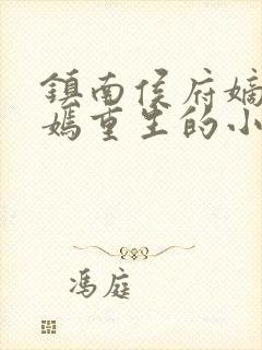 镇南侯府嫡女萧嫣重生的小说