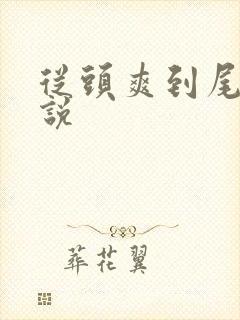 从头爽到尾的小说封面