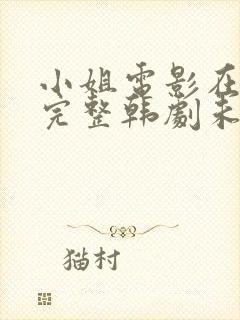 小姐电影在线看完整韩剧未删减