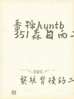 番号huntb 351森日向子封面