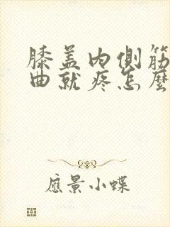 膝盖内侧筋疼弯曲就疼怎么办