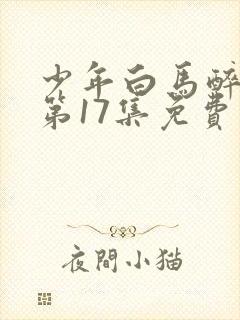 少年白马醉春风第17集免费观看