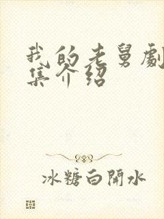 我的老舅剧情分集介绍封面