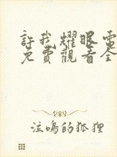 许我耀眼电视剧免费观看全集高清