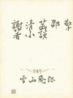 谢清菡邵擎云原著小说封面