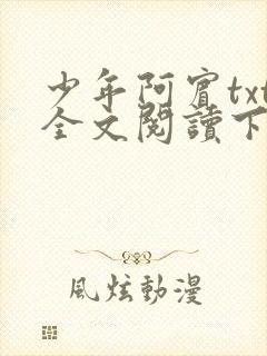 少年阿宾txt全文阅读下载
