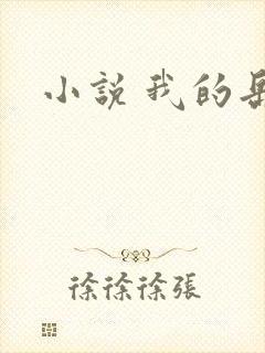 小说 我的岳母封面