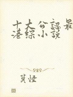 十大公认最好看港综小说封面