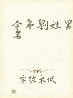 今年刘姓男孩取名