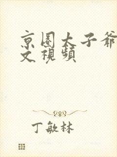 京圈太子爷甜宠文视频