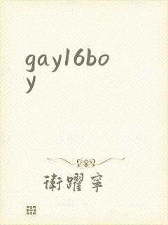 gay16boy