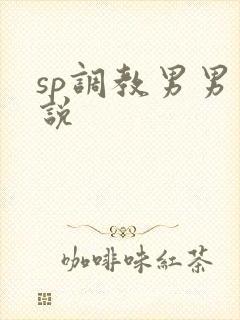 sp调教男男小说
