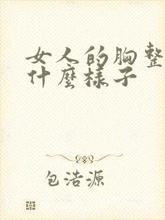 女人的胸整个长什么样子