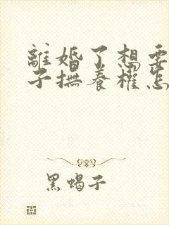 离婚了想要回孩子抚养权怎么办