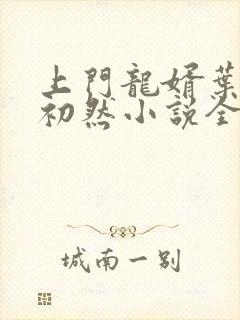 上门龙婿叶辰萧初然小说全文阅读封面