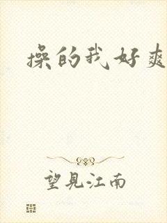 操的我好爽小说封面